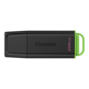 USB KINGSTON DTXG2/256GB 3.2