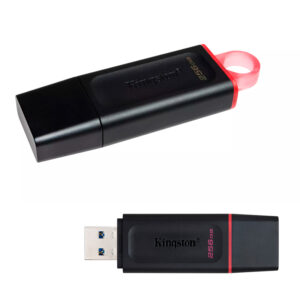 USB KINGSTON DTX/256GB 3.2