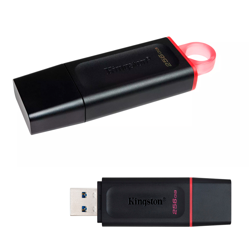 USB KINGSTON DTX/256GB 3.2
